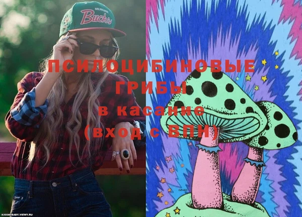 дмт Приозерск