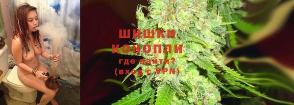 сатива Пролетарск