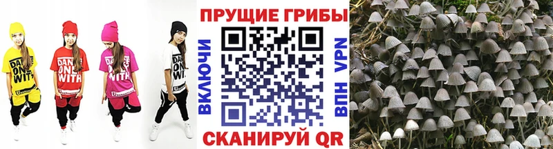 Псилоцибиновые грибы ЛСД  дарнет шоп  Тосно 