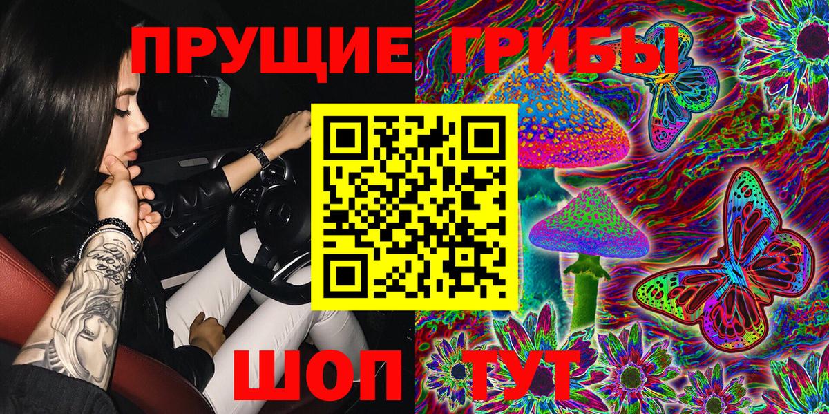 Галлюциногенные грибы Cubensis Тосно