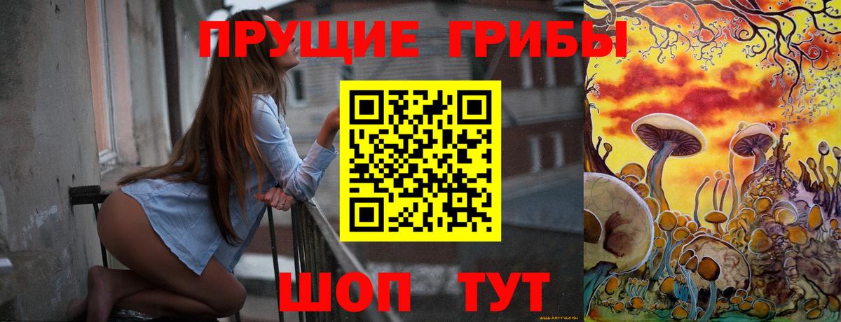 Псилоцибиновые грибы ЛСД  Вход с VPN  Псилоцибиновые грибы прущие грибы  купить наркоту  Тосно 